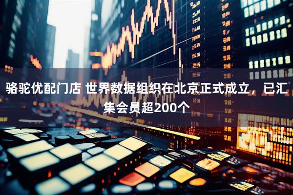 骆驼优配门店 世界数据组织在北京正式成立，已汇集会员超200个