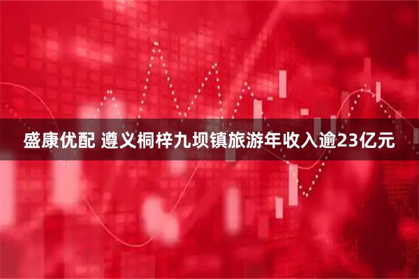 盛康优配 遵义桐梓九坝镇旅游年收入逾23亿元