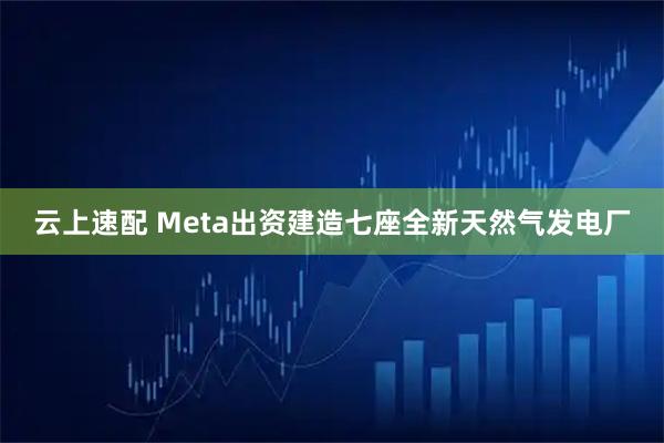 云上速配 Meta出资建造七座全新天然气发电厂