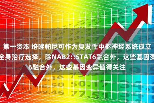 第一资本 培唑帕尼可作为复发性中枢神经系统孤立性纤维瘤的全身治疗选择，除NAB2::STAT6融合外，这些基因变异值得关注
