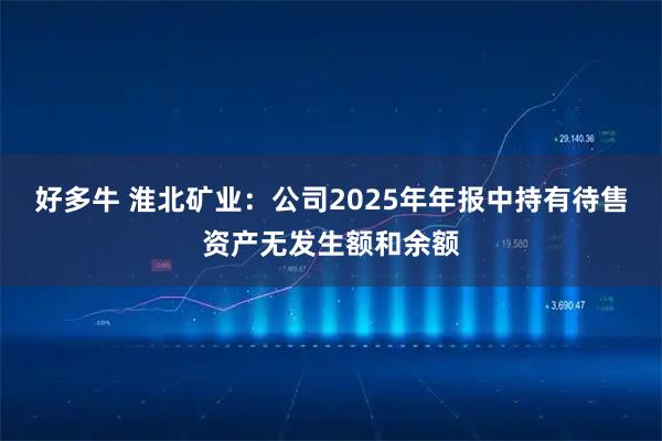 好多牛 淮北矿业：公司2025年年报中持有待售资产无发生额和余额